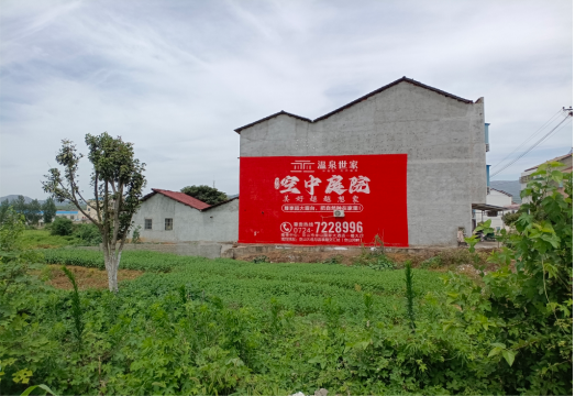 安远做墙体广告的意义